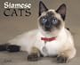 Siamese Cats Calendar