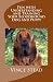 Fun with Understanding and Training Your Bloodhound Dog and Puppy