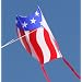 Mini Sled Single Line Kite Patriotic