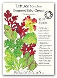Lettuce Mesclun Gourmet Baby Greens Certified Organic Seed