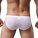 WINDAY Men Briefs Breathable Ice Silk Triangle Bikinis and Briefs N04 L/US M 4-Pack White