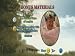 Patch Adams [DVD] [Import] 別画像