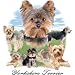 Yorkshire Terrier Adult T-Shirt