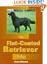 Flat-Coated Retrievers Today