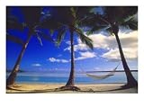 Palms and Hammock, Aitutaki, Cook Islands Photographic Poster Print by Walter Bibikow, 16x12