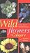 Wildflowers of Calgary and Southern Alberta