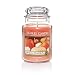 Yankee Candle Company 1163525 Vanilla Pumpkin 22oz Candle
