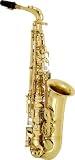 B202 Alto Saxophone Alto Sax - B0002FORIE