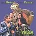 Beard Of The Camel