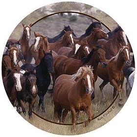 Horse Collage - Thirstystone Sandstone Coaster Set by Thirstystone
