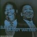 Les Légendes du blues : BB King et Muddy Waters