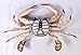 Hand Painted Crab Beach Tiki Bar Wall Mount Decor 6