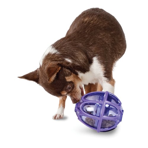 Premier Pet Products Busy Buddy Kibble Nibble Feeder Dog Ball, Small