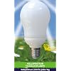 20 Watt klassische Vollspektrum Tageslicht Energiesparlampe