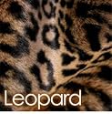 220x230cm Suede Backed Leopard Faux Fur Throw