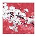 Blossom In Pink by Gail Mckenzie - Fine Art Print / Poster - 19.75 x 19.75