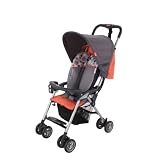 Combi Flare Lightweight Stroller in Mandarin