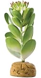 Exo Terra Jade Cactus Terrarium Plant