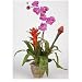 Double Bromeliad/Orchid Silk Flower Arrangement - Orchid