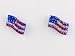 American Flag Day Patriotic U.S.A. Star Spangled Banner Ice Rhinestone Earrings