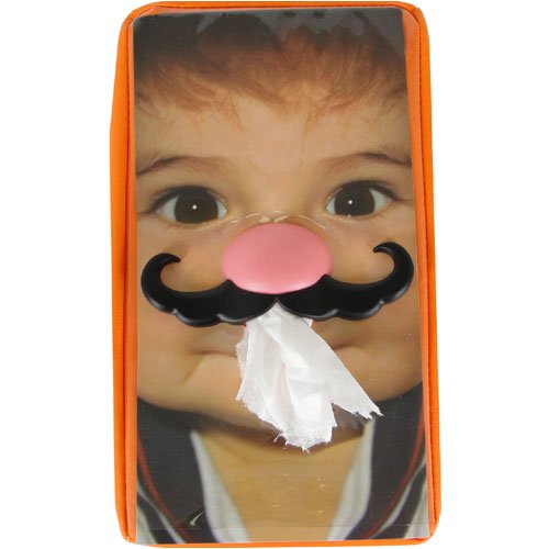 French Novelty Design Tissue Box Cover, Use Your Own Photo, Pig Nose with Mustache