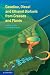 Gasoline, Diesel and Ethanol Biofuels from Grasses and Plants