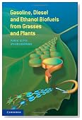 Gasoline, Diesel and Ethanol Biofuels from Grasses and Plants