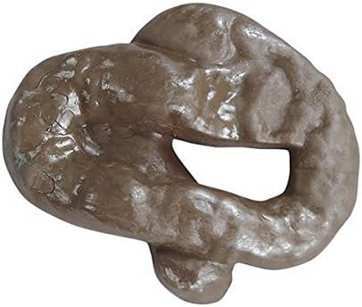 TTWG Realistic Fake Rubber Poop Toy