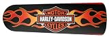 HARLEY DAVIDSON FLAMES 42 CEILING FAN W/LIGHT