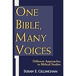 One Bible, Many Voices: Different Approaches to Biblical Studies book cover