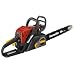 Economical Spring Yard Clean-Up