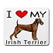 terrier16 - I Love My Irish Terrier Mouse Pad