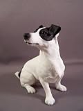 Jack Russell Black White Sitting Dog Figure Dogs & Pups Galore Figurine