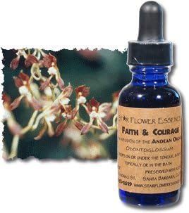 Andean Orchids: Faith and Courage