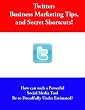 Twitter (Business Marketing Tips for Twitter, and Secret Shortcuts!)