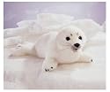 Plush Harp Seal Pup Puppet