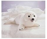 �^�e�S�g�A�U���V �n���h�p�y�b�g