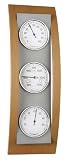 Eigenschaften Eschenbach Optik GmbH + Co 53387 / Eschenbach Wetterstation mechanisch Buche / Metall