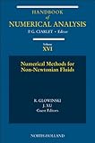 Numerical methods for non-Newtonian fluids