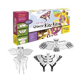 Noodle head : Chinese Kite Kit : Owl, Goldfish, or Butterfly by Noodle Head