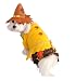 Anit Accessories Scarecrow Dog Costume, 20-Inch