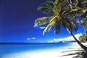 Beach Morning, Beach & Ocean Wall Poster Print, 36x24