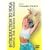 Introduction to Yoga: Gentle, for Extreme Beginners