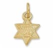 14Kt Yellow Gold Judaica Star of David Pendant