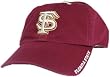 Men's Florida State Ice Cap