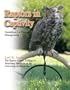 Raptors in Captivity: Guidelines for Care and Management