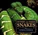 Outside and Inside Snakes (Outside Inside)