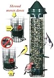 View Details for Squirrel Buster Classic Bird Feeder