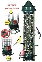 Brome Squirrel Buster Classic