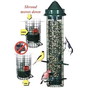Brome Squirrel Buster Classic by 